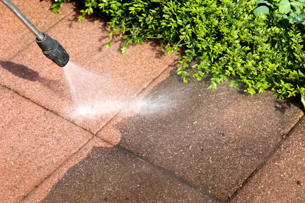 Best Best Pressure Washing Companies  in Belterra, TX